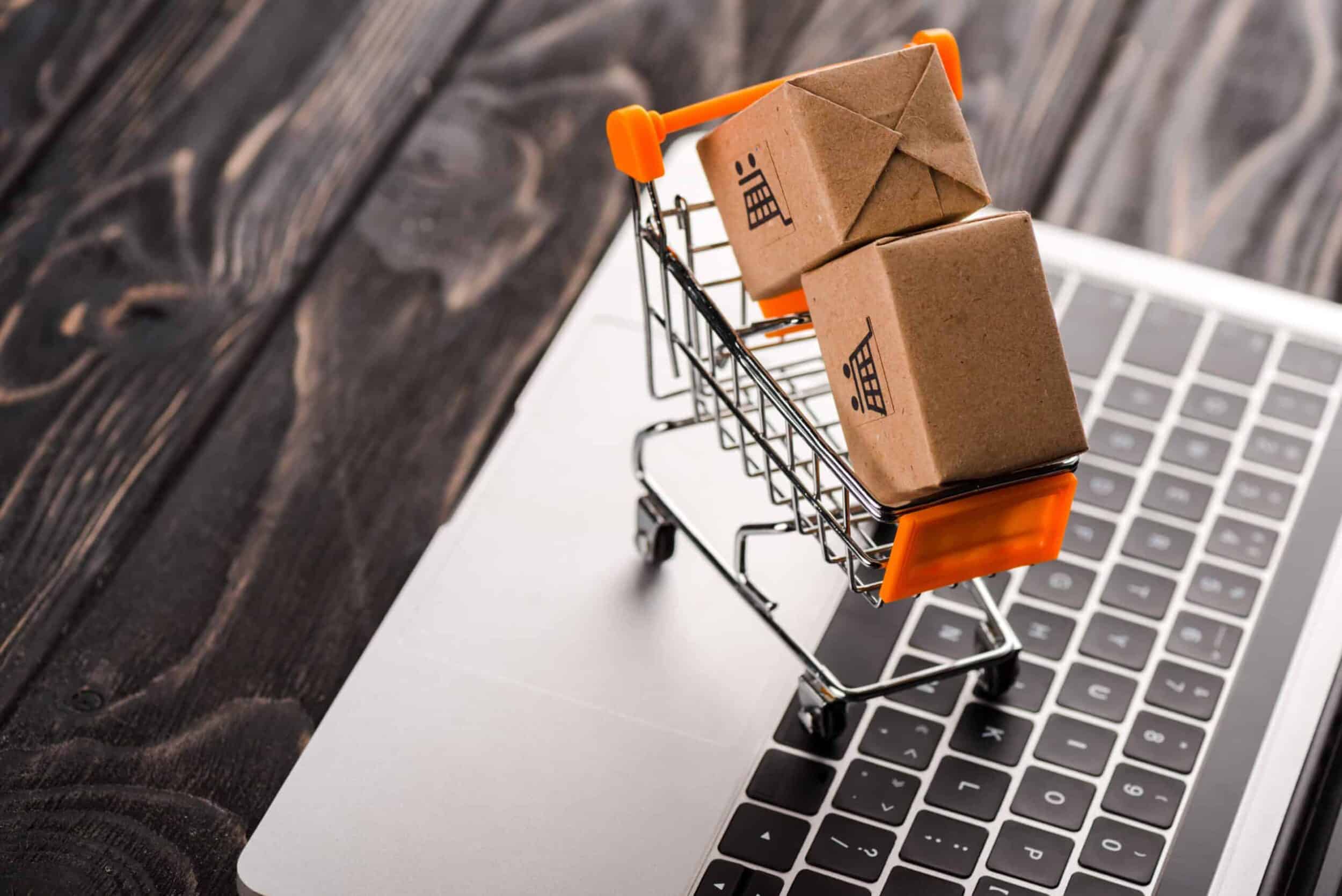 dotweb marketing e commerce